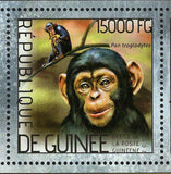 Monkeys Stamp Pongo Semnopithecus Entellus S/S MNH #10395-10397