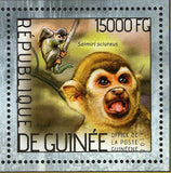 Monkeys Stamp Pongo Semnopithecus Entellus S/S MNH #10395-10397