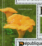 Mushrooms Stamp Pongo Semnopithecus Entellus S/S MNH #10395-10397