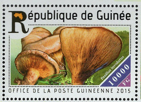 Mushrooms Stamp Pongo Semnopithecus Entellus S/S MNH #10395-10397
