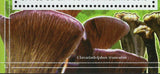 Mushrooms Stamp Colus Hirudinosus Aseroe Rubra S/S MNH #11042 / Bl.2503