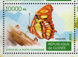 Butterflies Stamp Ornithoptera Euphorion Agraulis Vanillae S/S MNH #11163-11166