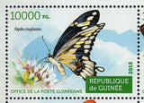 Butterflies Stamp Ornithoptera Euphorion Agraulis Vanillae S/S MNH #11163-11166