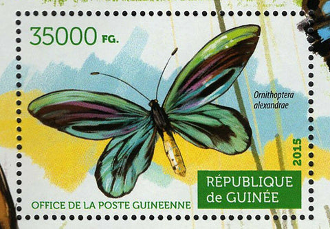 Butterflies Stamp Ornithoptera Alexandrae Tirumala Limniace S/S MNH #11167