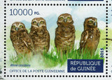 Owls Stamp Bubo Zeylonensis Pseudoscops Clamator S/S MNH #11183-11186