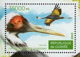 Water Birds Stamp Phalacrocorax Auritus Anas Acuta S/S MNH #11182 / Bl.2532