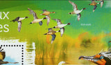 Water Birds Stamp Phalacrocorax Auritus Anas Acuta S/S MNH #11182 / Bl.2532