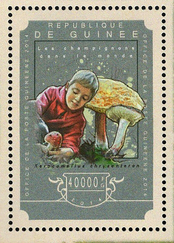 Mushrooms Stamps Xerocomellus Chrysenteron S/S MNH #10791 / Bl.2453