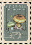 Mushrooms Stamps Lactarius Indigo S/S MNH #10787-10790