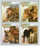 Lions Stamp Panthera Leo Wild Animal Souvenir Sheet MNH #7611-7614