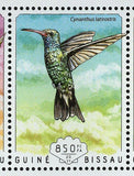 Hummingbirds Campylopterus Hemileucurus Birds S/S MNH #7410-7413