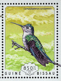 Hummingbirds Campylopterus Hemileucurus Birds S/S MNH #7410-7413