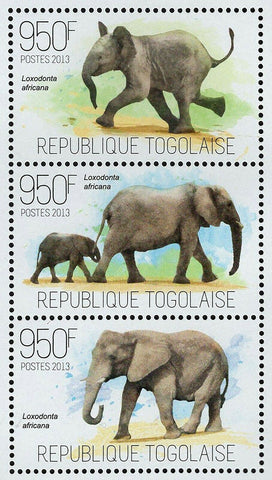 Elephants Stamp Loxodonta Africana Wild Animal Souvenir Sheet MNH #5271-5273