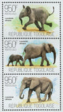 Elephants Stamp Loxodonta Africana Wild Animal Souvenir Sheet MNH #5271-5273