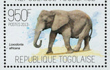 Elephants Stamp Loxodonta Africana Wild Animal Souvenir Sheet MNH #5271-5273