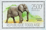 Elephants Stamp Loxodonta Africana Souvenir Sheet MNH #5274 / Bl.877