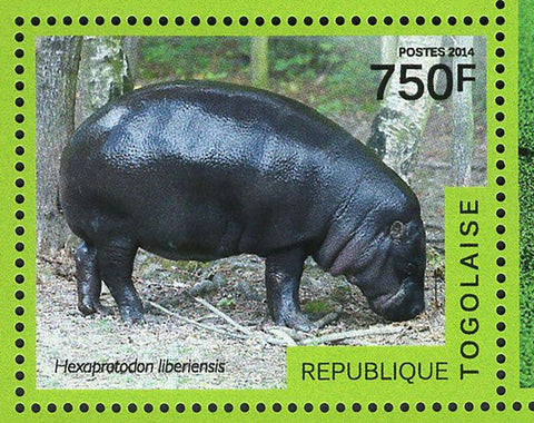 Hippopotamus Stamp Hippo Amphibious Wild Animal S/S MNH #6141-6144