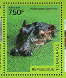 Hippopotamus Stamp Hippo Amphibious Wild Animal S/S MNH #6141-6144