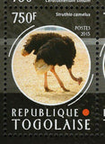 African Fauna Stamp Struthio Camelus Panthera Leo S/S MNH #6704-6707