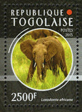 African Fauna Stamp Loxodonta Africana Panthera Leo S/S MNH #6708 / Bl.1157