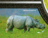 Rhinoceros Stamp Diceros Bicornis Ceratotherium S/S MNH #6718 / Bl.1159