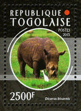 Rhinoceros Stamp Diceros Bicornis Ceratotherium S/S MNH #6718 / Bl.1159