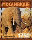 Elephants Stamp Loxodonta Africana Wild Animal Souvenir Sheet MNH #8353 /Bl.1110