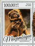 Big Cats Stamp Panthera Leo Nubica Tigris Sumatrae S/S MNH #8594-8597