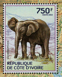 Elephants Stamp Loxodonta Africana Souvenir Sheet MNH #1612