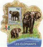 Elephants Stamp Loxodonta Africana Souvenir Sheet MNH #1612