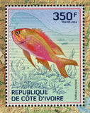 Fishes Stamp Antigonia Capros Marine Fauna S/S MNH #1510