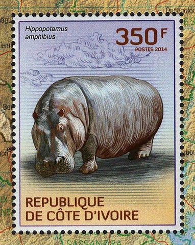 Hippopotamus Stamp Hippopotamus Amphibius Hippo S/S MNH #1605