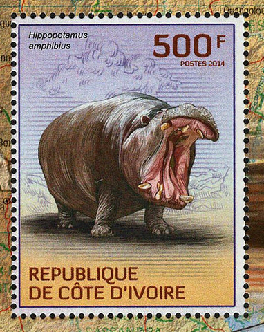 Hippopotamus Stamp Hippopotamus Amphibius Hippo S/S MNH #1606