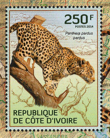 Leopards Stamp Panthera Pardus Pardus Wild Animal S/S MNH #1594