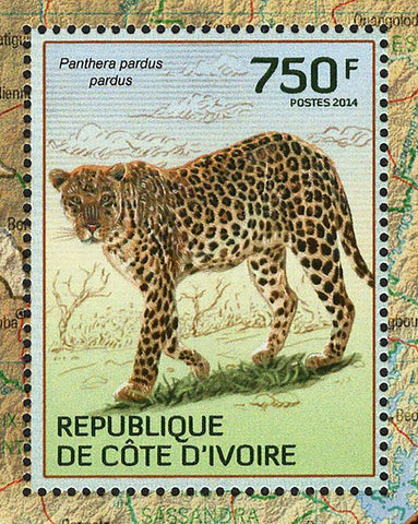 Leopards Stamp Panthera Pardus Pardus Wild Animal S/S MNH #1597