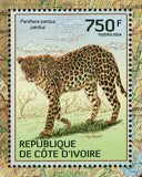 Leopards Stamp Panthera Pardus Pardus Wild Animal S/S MNH #1597