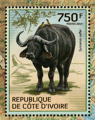 Buffalos Stamp Syncerus Caffer Wild Animal S/S MNH #1587