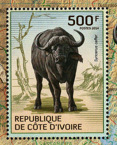 Buffalos Stamp Syncerus Caffer Wild Animal S/S MNH #1586