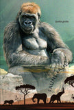 Gorillas Stamp Western Lowlands Gorilla Gorilla MNH #4900 / Bl.798