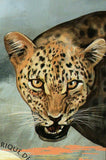 Leopards Stamp Panthera Pardus Wild Animal Souvenir Sheet MNH #4870 / Bl.792