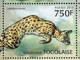 Serval Stamp Wild Animal Leptailurus Serval S/S MNH #4856-4859