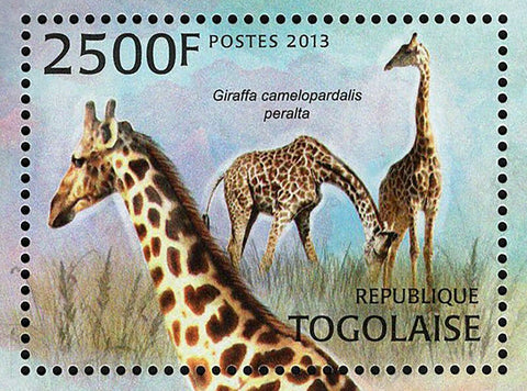 Giraffe Stamp Giraffa Camelopardalis Peralta Souvenir Sheet MNH #4835 / Bl.785