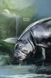 Hippopotamus Stamp Choeropsis Liberiensis Souvenir Sheet MNH #4855 / Bl.789