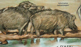 Forest Hog  Stamp Hylochoerus Meinertzhageni S/S MNH #4840 / Bl.786