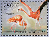 Flamingos Stamp Phoenicopterus Minor Bird S/S MNH #4810 / Bl.780