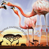 Flamingos Stamp Phoenicopterus Minor Bird S/S MNH #4810 / Bl.780