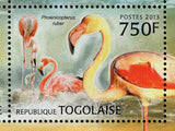 Flamingos Stamp Phoenicopterus Roseus Bird S/S MNH #4806-4809