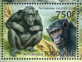 Primates of West Africa Stamp Chlorocebus Sabaeus S/S MNH #4891-4894