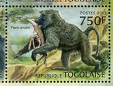 Primates of West Africa Stamp Chlorocebus Sabaeus S/S MNH #4891-4894