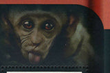 Year of Monkey Stamp Macaca Mulatta Simia Sciureus S/S MNH #6430-6433
